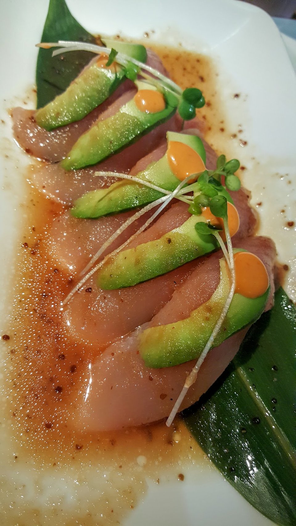 Albacore